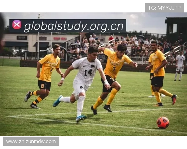 gt体育联赛直播(sport体育直播)sports